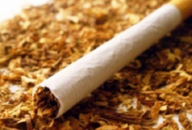 Expanding export of Azerbaijan's tobacco
